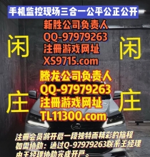 腾龙公司线上游戏账号的注册流网纸