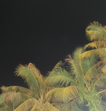 ug环球一比一私网【13297719142】欧博一比一包杀网