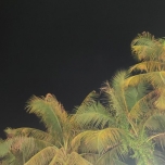 ㈠㈢㈡㈨㈦㈦㈠㈨㈠㈣㈡www.abg8686.net亚星一比一包杀网