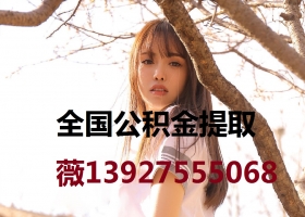 萨达分段函数粉红色的瓦尔塔儿瓦尔塔